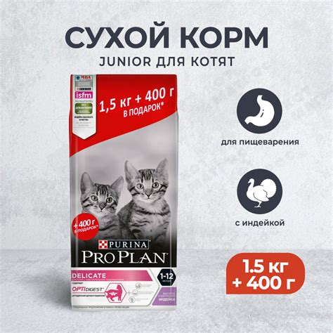 Правильный способ применения регидрона для котят при проблемах с пищеварением
