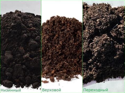 Преимущества и недостатки применения кислотного торфа в различных сферах