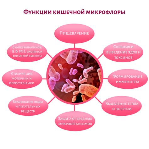 Преимущества приема бактериальных препаратов для восстановления натурального микробиома кишечника