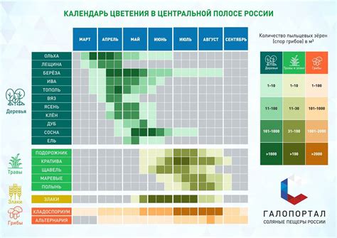 Примеры практического применения биостимулятора в период цветения растений