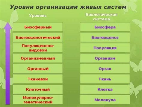 Принципы работы органов взаимодействия и значение для живых организмов