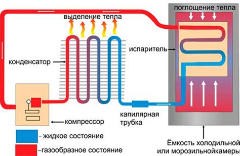 Принцип работы системы водоотвода в холодильнике Атлант