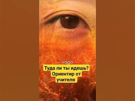 Проверить правильность указанного пути