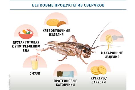 Распространение насекомых в пищевых продуктах