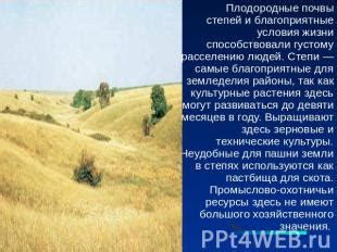Расширение ареала березы: где процветает эта удивительная растительность