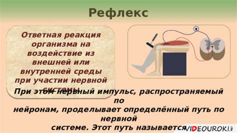 Реакция организма на воздействие вещества из игрушек