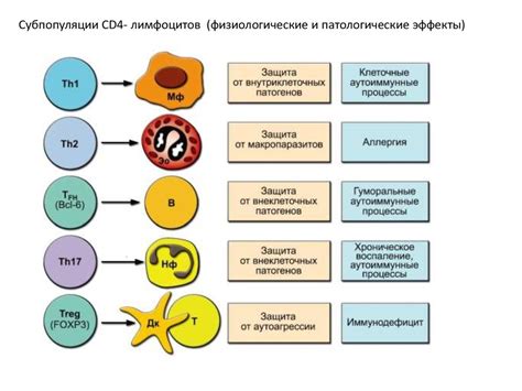Роль АНФ 1 320 в иммунной системе