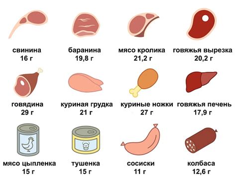 Роль белка в процессе снижения веса и его содержание в мясе свинины