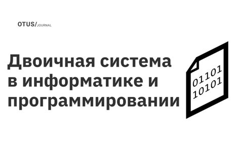 Роль и применение 2n в информатике
