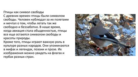 Роль птиц в повседневной жизни человека