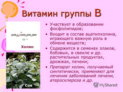 Роль фосфолипидов в обмене веществ и энергетическом обмене