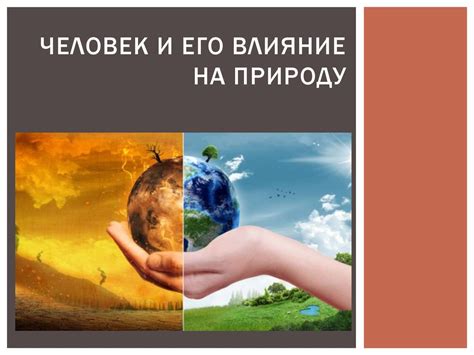 Сетчатчатое вещество и его влияние на формирование и сохранение навыков
