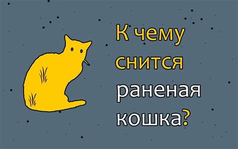 Сон о падающей кошке: наиболее распространенные трактовки