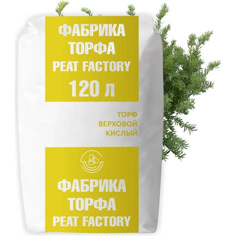 Сущность и характеристики кислого торфа