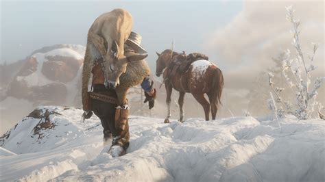 Таинственные локации в Red Dead Redemption 2: где найти особенные виды лошадей