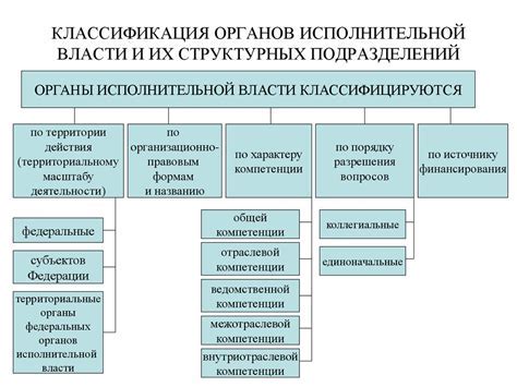 Территориальные органы исполнительной власти: ключевая роль в управлении регионами
