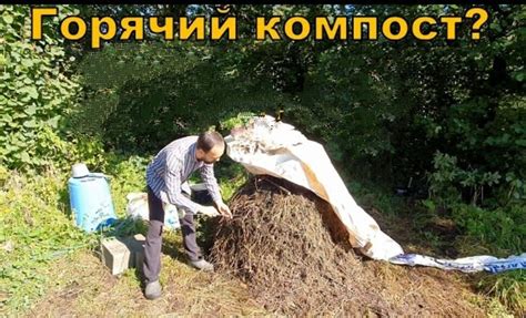 Тщательное удаление больших остатков навоза
