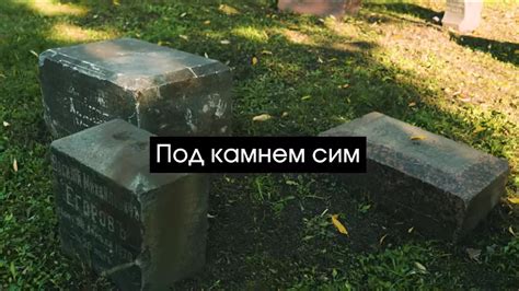 Увеличение возможности обнаружения живых мертвецов путем расширения кладбища