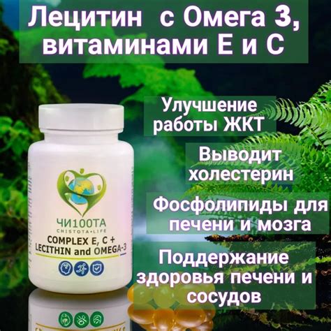 Фосфолипиды: суть и значение для организма