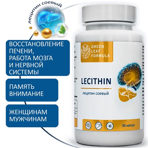 Фосфолипиды в мозге: важное вещество для нервной системы
