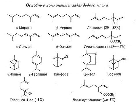 Химический состав эфирного масла камфоры