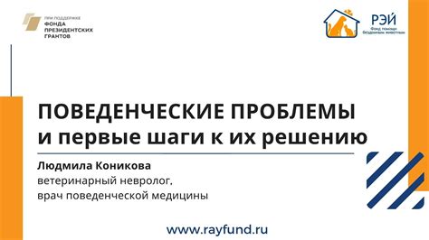 Шаги к решению проблемы