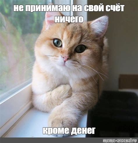Шутки на свой счет: сохраняя чувства других в целости и сохранности