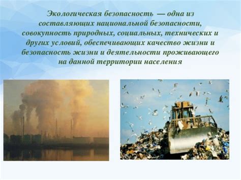 Экологические аспекты использования кислого торфа