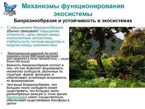 Экология и биоразнообразие appalachian горного массива