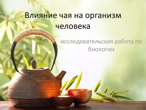  Влияние на организм ребенка при употреблении чая из чаги 