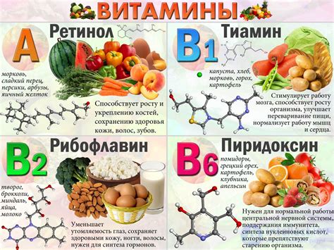  Заголовок 2.1: Сохранение полезных свойств витаминов и минералов в процессе замораживания
