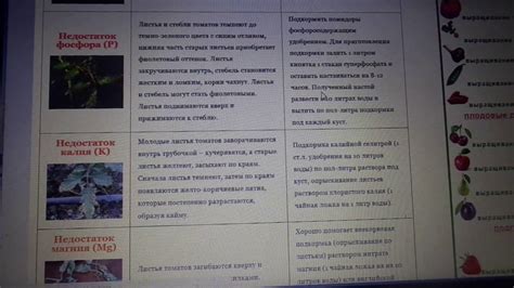  Размеры и форма участка недостатка питательных веществ у крупного рогатого скота 