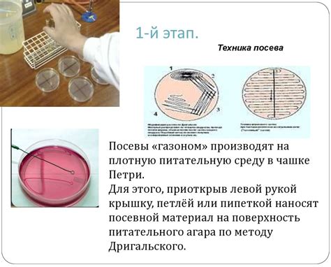 Альтернативные методы для получения чистой браги