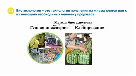 Альтернативные пути почтения усопших животных