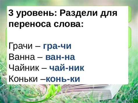 Анализ переноса слова «коньки» на другую строку