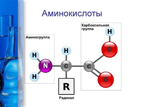 Белки и аминокислоты