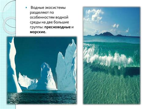 Биологические районы и их значение для экосистемы