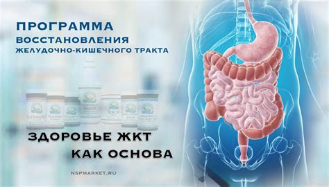 Важность восстановления