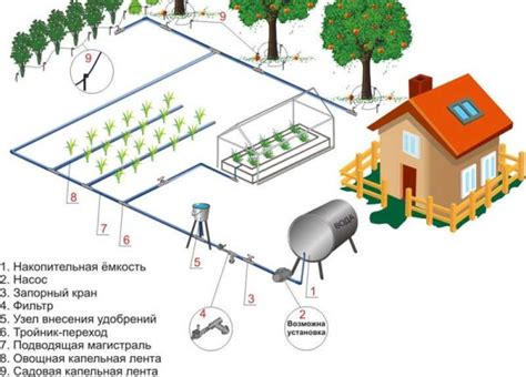 Важность правильного полива карбофосом для грядок: советы и рекомендации