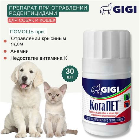 Важность скорой помощи при отравлении кошек