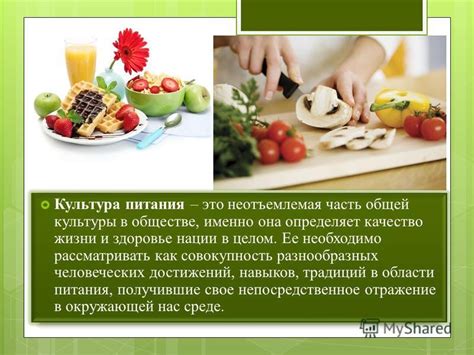 Важность соблюдения рациона и режима питания