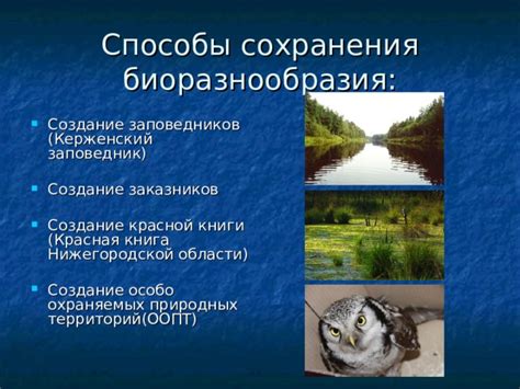 Важность сохранения жара
