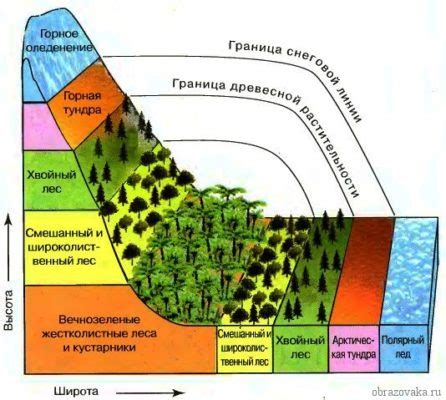 Важность сохранения природных зон в океане