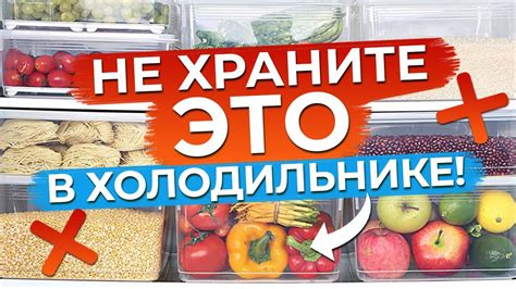 Важные правила хранения клубней тюльпанов в холодильнике