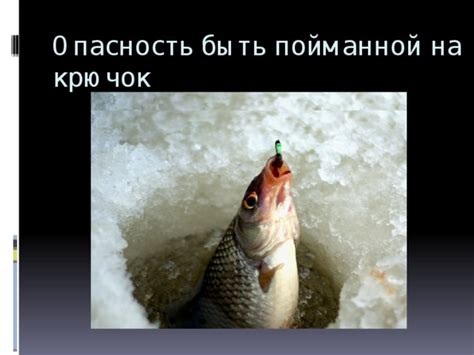 Важные сведения о способах отпускания пойманной рыбы на крючок