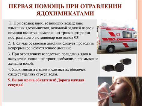Важные указания при отравлении животного