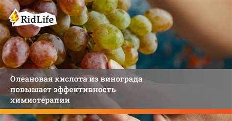 Витамины и эффективность химиотерапии