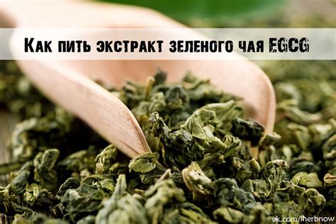 Влияние вина на побочные эффекты противозачаточных