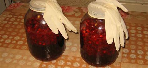 Влияние забродившего компота на организм