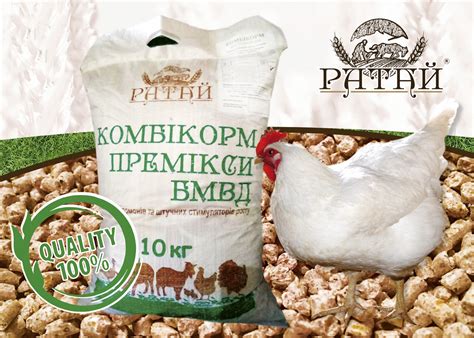 Влияние комбикорма для бройлеров на кормление кроликов